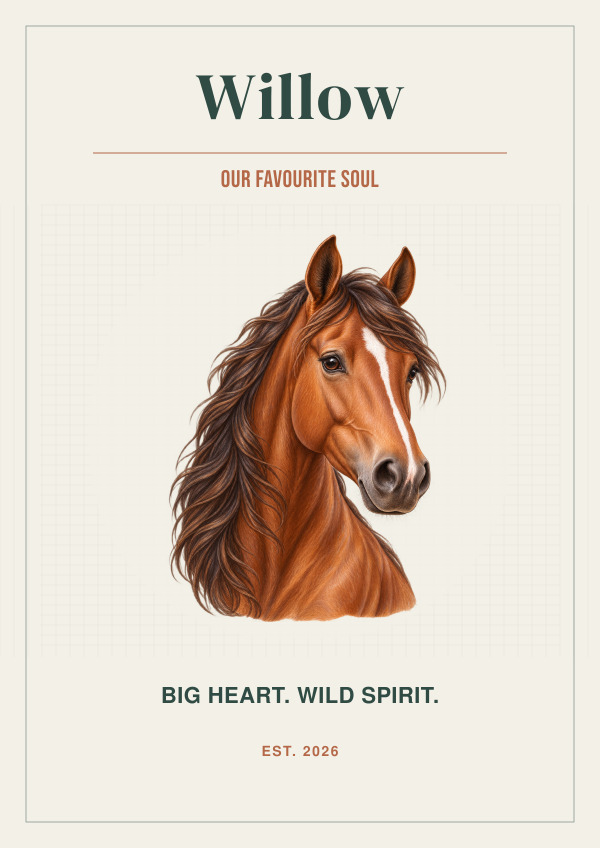 Horse Gallery Portrait — Pet personalities